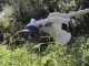 Ikra IBF 43 - Petrol brush cutter
