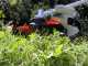 Ikra IBKH 33 - Multifunction petrol brush cutter