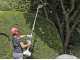 Ikra IBKH 33 - Multifunction petrol brush cutter