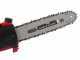 Blue Bird R3S 40V Battery-powered Pruner on Telescopic Pole - up to 4 m with operator