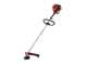 Honda GX 50 I - 4-stroke gasoline brush cutter - Blue Bird rod