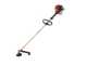 Honda GX 50 I - 4-stroke gasoline brush cutter - Blue Bird rod