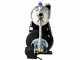 Annovi &amp; Reverberi ARGP 800XB Pump with Autoclave, Stainless Steel Head
