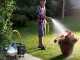 Annovi &amp; Reverberi ARGP1100X Self-priming Electric Garden Pump - Stainless steel head