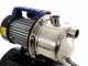 Annovi &amp; Reverberi ARGP 1100XB Self-priming Pump with Autoclave - 1100W max. power
