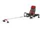 Honda GX 50 ZP - 4-stroke gasoline backpack brush cutter - Blue Bird rod