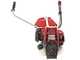 Honda GX 50 M - 4-stroke gasoline brush cutter - Blue Bird rod