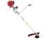 Honda GX 50 M - 4-stroke gasoline brush cutter - Blue Bird rod