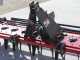 GeoTech Pro ER 210 Power Harrow - 210 cm working width - 20 blades - light size