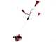 Einhell AGILLO 36/255 - Battery-powered brush cutter - 36V - WITHOUT BATTERIES AND CHARGER