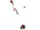Einhell AGILLO - Battery-powered Brush Cutter - 36V - 2x 4Ah