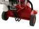 Ceccato BULL SPL12FH - Petrol Log Splitter - Vertical