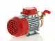 Rover Marina 20 - Bronze electric transfer pump - 12 V