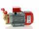 Rover Marina 20 - Bronze electric transfer pump - 12 V