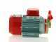 Rover Marina 20 - Bronze electric transfer pump - 12 V