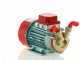 Rover Marina 20 - Bronze electric transfer pump - 12 V