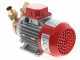 Rover Marina 25 - Bronze electric transfer pump - 24 V