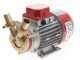 Rover Marina 25 - Bronze electric transfer pump - 24 V