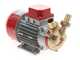 Rover Marina 25 - Electric transfer pump in bronze - 24 V