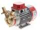 Rover Marina 25 - Electric transfer pump in bronze - 24 V