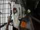 Airmec TTD 3496/900 Petrol Engine-driven Air Compressor - 9.6 HP Diesel engine - 900 L/min