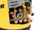 Lavorwash Lavor Arizona GL Cold Water Pressure Washer - Electric cold water pressure washer 150 bar max.