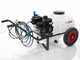 Comet MTP MC 25 Sparyer Pump - Loncin 148F-2 and 80 L Tank Trolley Kit