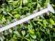 Bosch Universal Hedgecut 60 Electric Hedge Trimmer - 60 cm Blade - 480W Power