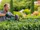 Bosch Universal Hedgecut 60 Electric Hedge Trimmer - 60 cm Blade - 480W Power