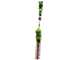 Greenworks G40PHA Adjustable Electric Hedge Trimmer on Telescopic Pole, 40 V - 40V/2Ah Battery
