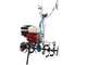 AGT 7500 - 6.5 HP Petrol Garden Tiller - Honda GX200 196 cc - 2+1 Reverse Gear Gearbox