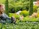 Bosch Universal Hedgecut 50 Electric Hedge Trimmer - 50cm Blade - 480W