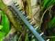 Bosch Advanced Hedgecut 65 Electric Hedge Trimmer - 65cm Blade - 500W