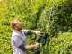 Bosch Advanced Hedgecut 65 Electric Hedge Trimmer - 65cm Blade - 500W