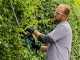 Bosch Advanced Hedgecut 65 Electric Hedge Trimmer - 65cm Blade - 500W