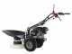Eurosystems P55 - Multifunctional rotary mower - Honda GCVX 170