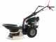 Eurosystems P55 - Multifunctional rotary mower - Honda GCVX 170