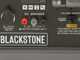 BlackStone BG 9050 - 6.6 kW Wheeled Petrol Power Generator with AVR - DC 6 kW Full-Power
