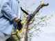 Karcher PSW 18-20 Battery-powered Pruner with Extension Pole - BATTERY AND BATTERY CHARGER NOT INCLUDED