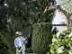 Karcher PSW 18-20 Battery-powered Pruner with Extension Pole - BATTERY AND BATTERY CHARGER NOT INCLUDED