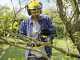 Karcher CNS 18-30 - 18V 2.5Ah Battery-powered Electric Chainsaw - 30 cm Blade
