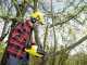 Karcher CNS 36-35 - Battery-powered Electric Chainsaw - 36V - WITHOUT BATTERY AND CHARGER 