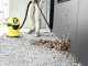 Karcher WD 3 Battery 36 V - Multi-purpose Battery Vacuum Cleaner - Wet and Dry - Blower