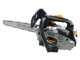Alpina APR 25 C - Petrol Pruning Chainsaw - 25 cm Carving Blade