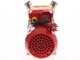 Rover Novax 40-M - Electric transfer pump in anti-oxidant alloy - Single-phase - 230V
