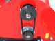 Ceccato Trincione 290 - Tractor-mounted Flail Mower - 120 cm working width - 20 hammers - Light Series