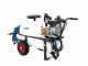 Lavor CRL 50 MISTING Trolley for Spraying - Single-phase Electric Motor