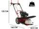 Blue Bird Alhambra TS PRO H0 - Motor mowers with rotary blades - Honda GCV 200
