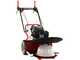 Blue Bird Alhambra TS PRO H0 - Motor mowers with rotary blades - Honda GCV 200