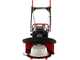 Blue Bird Alhambra TS PRO H0 - Motor mowers with rotary blades - Honda GCV 200